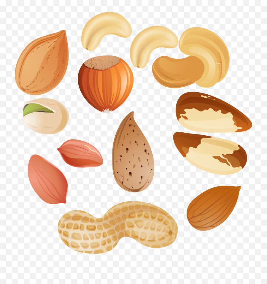 Free Almond Transparent Download - Transparent Nuts Clipart Png,Almond Transparent