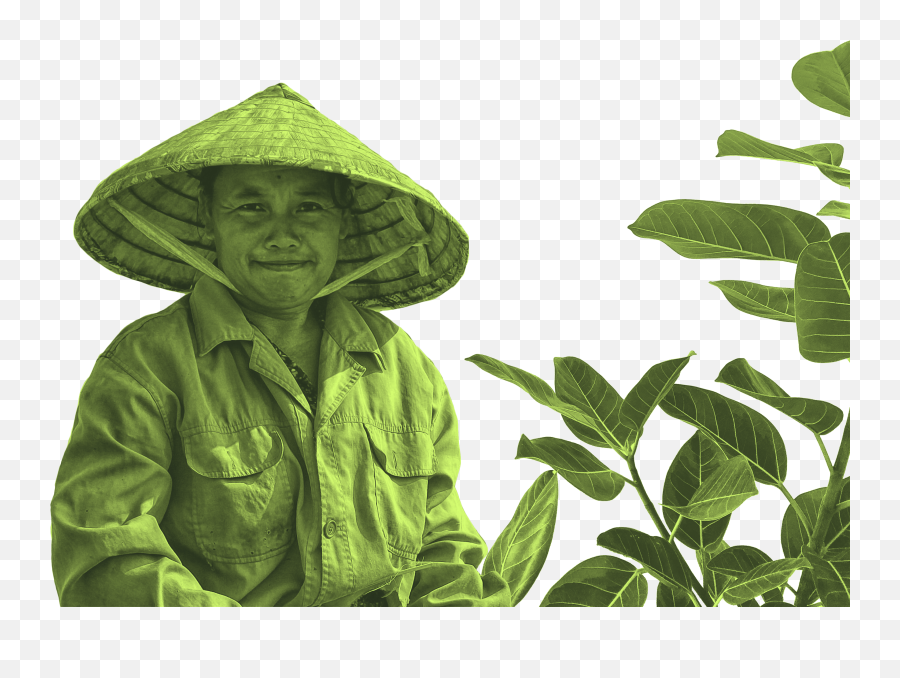 Un Biodiversity Conference Cop 15 U2013 Environment Rights - Green Plant Background Free Png,Cop Hat Png