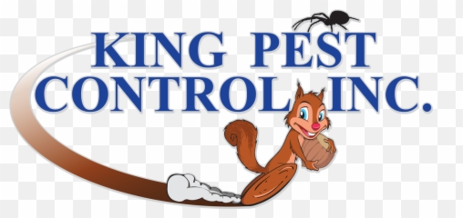 Termite Control - Kementerian Penerangan Komunikasi Dan Kebudayaan Png,Termite Png