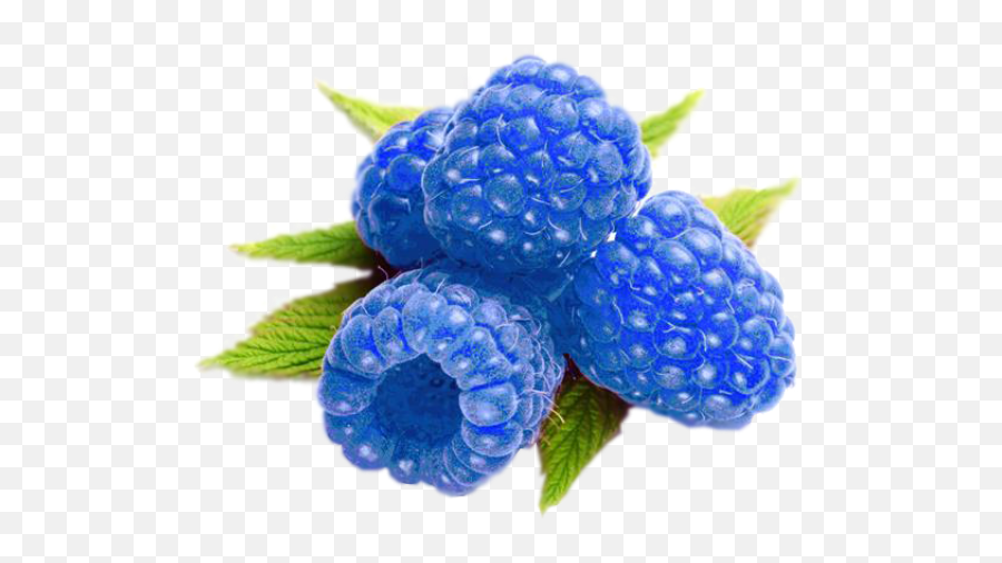 Blueberry Vs Blue Raspberry - Blue Raspberry Blue Fruits Png,Raspberry Png
