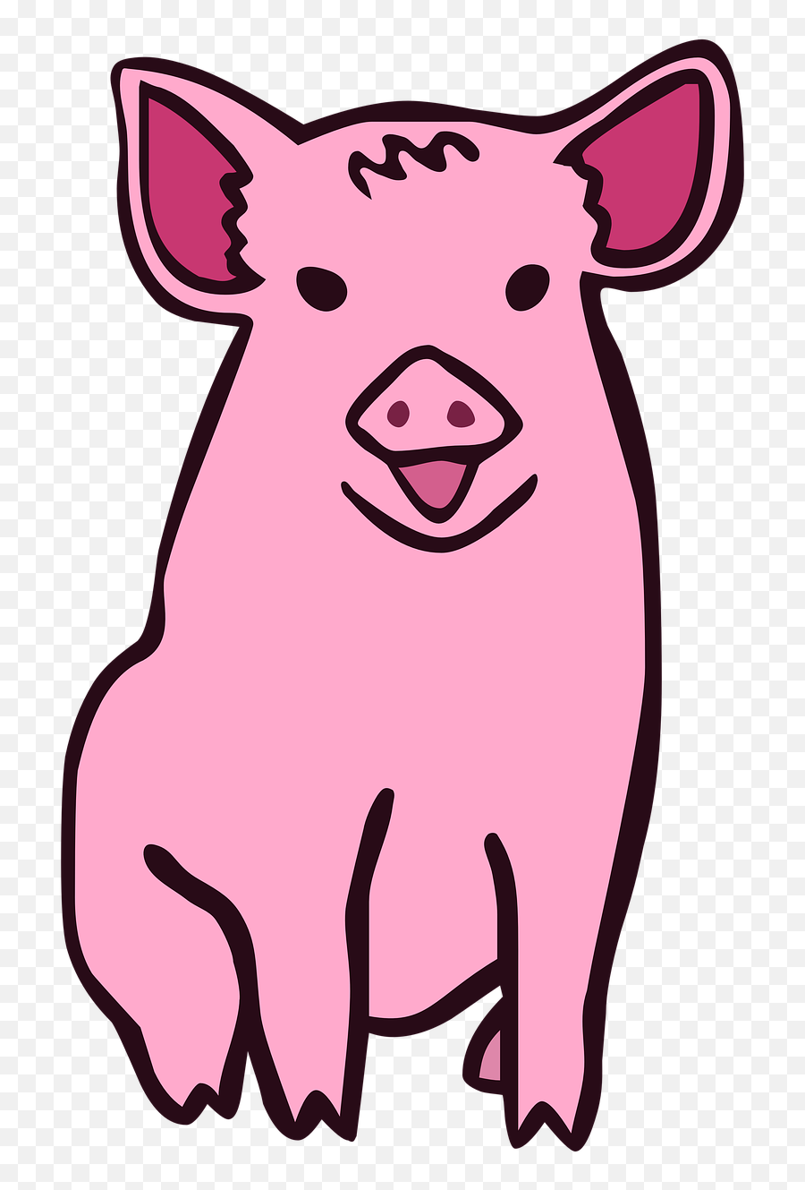 Pig Cartoon Animal - Swine Cartoon Png,Hog Png
