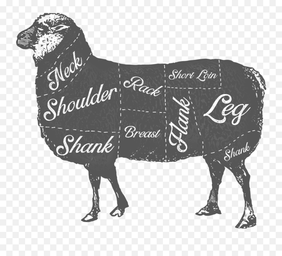 Copy Of Meat Cuts Ordering U2014 Virginia Farm Fresh Meats - Sheep Png,Cut Png