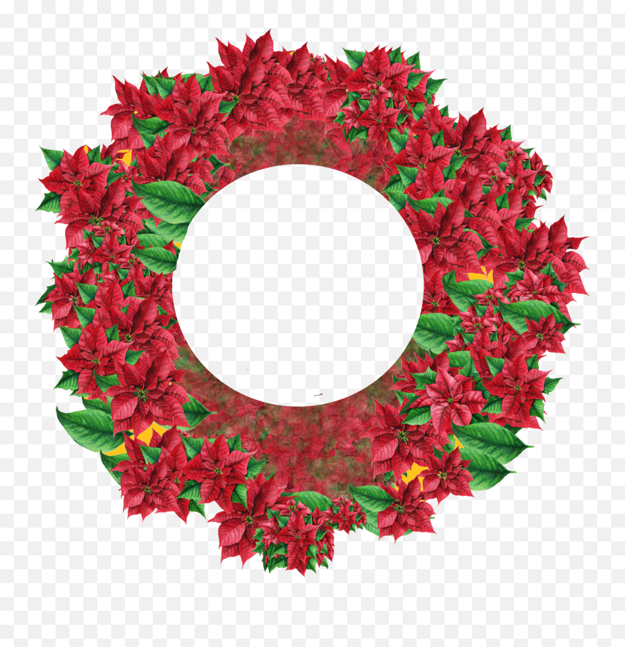 Poinsettia Wreath Png Free Stock Photo - Public Domain Pictures Floral,Wreath Png