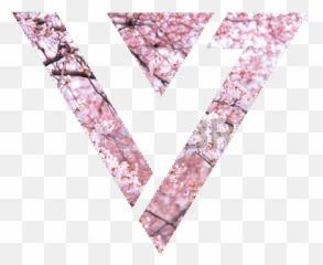 Tumblr Shared - Background Seventeen Symbol Kpop png