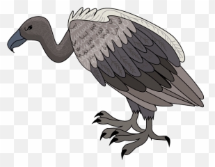 Vulture Clipart - California Condor Png,Vulture Transparent