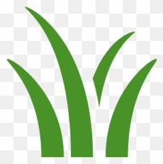 Soldier Fly Technologies - Sustainable Insect Production png