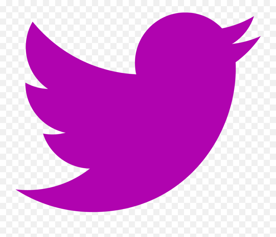 Png Twitter Icon 1600 Camversity Girls - Twitter Logo Hd,Twiter Logo Png