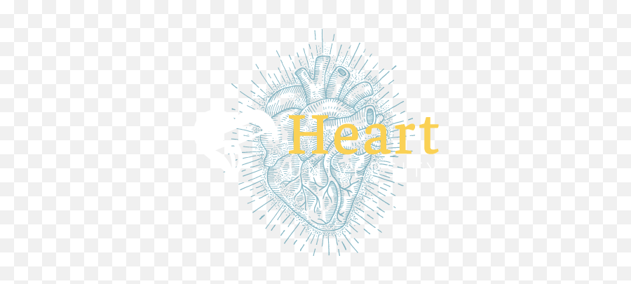 Heart University - Language Png,Vodcast Icon