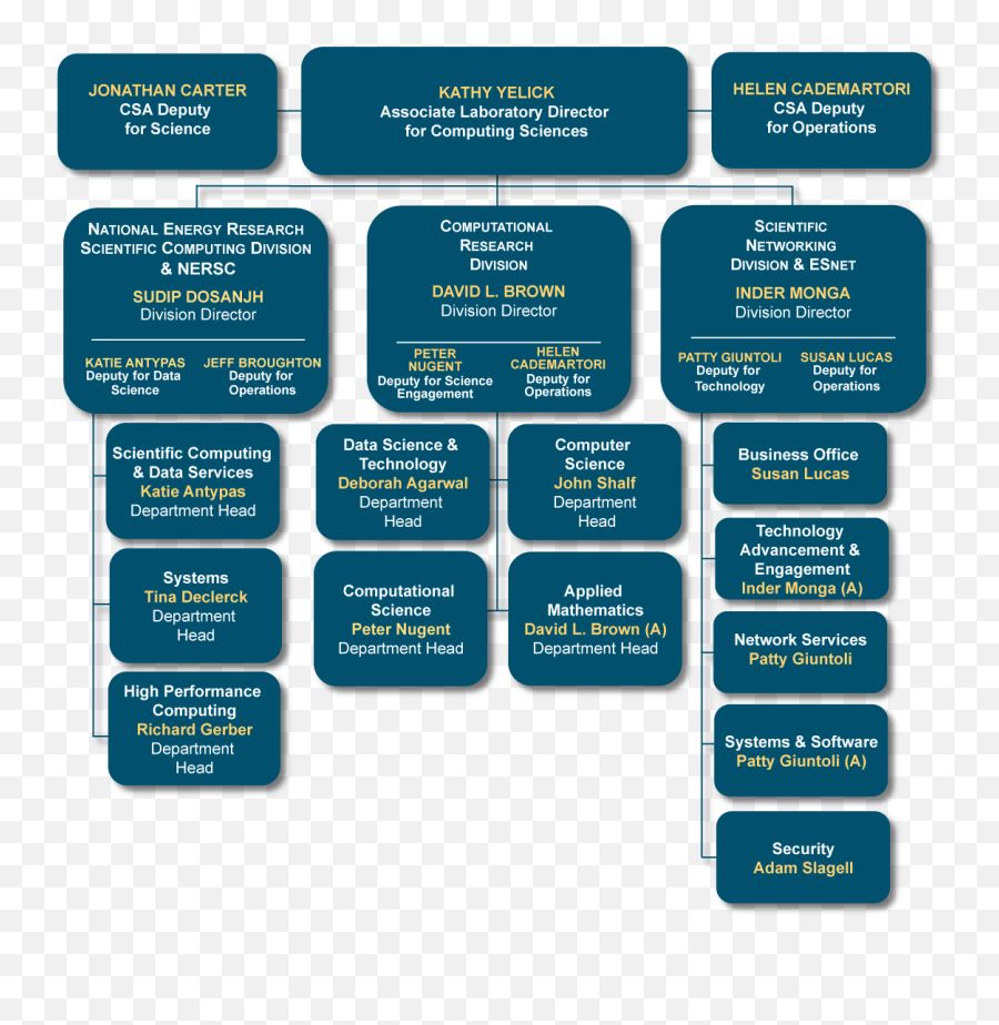 Org Charts Png Porg