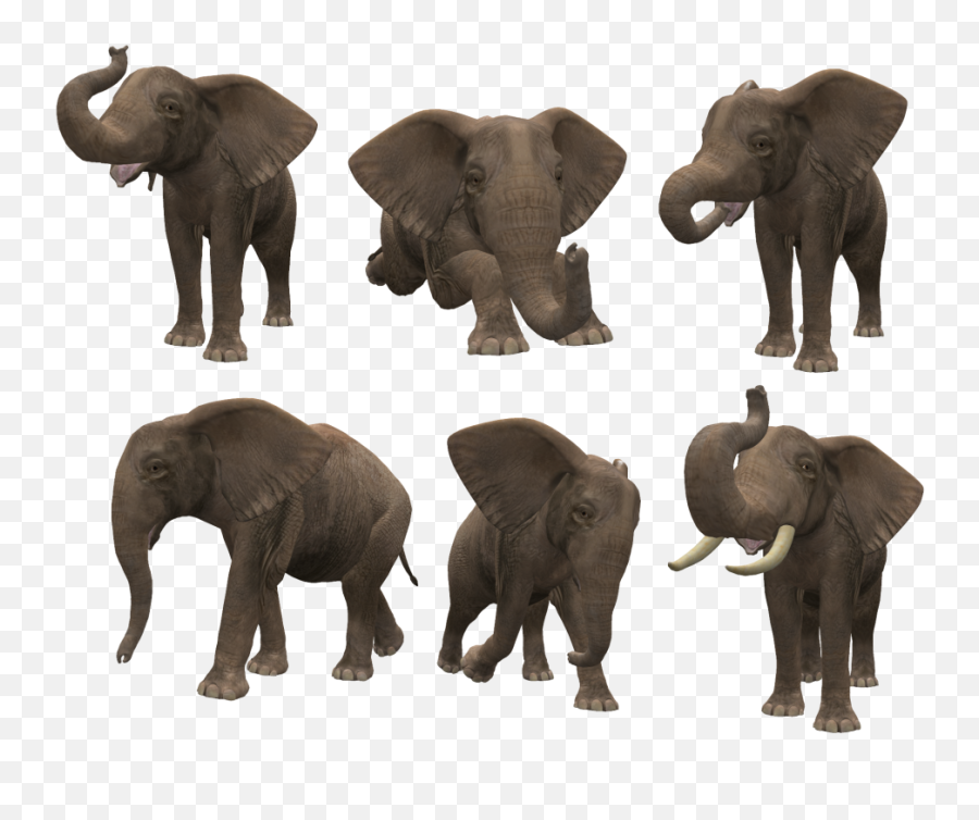 Elephant Png Clipart Background 6 - Photo 5415,Elephant Png