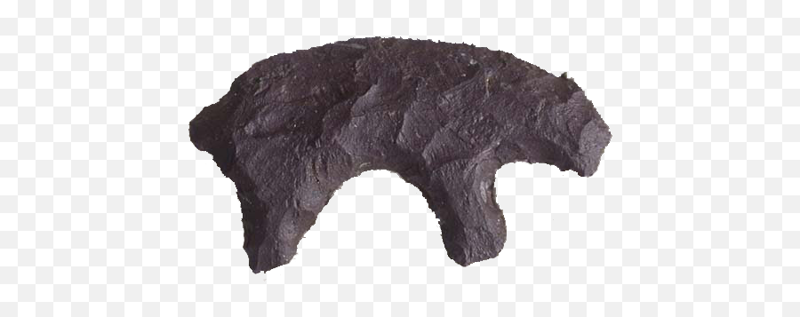 California State Prehistoric Artifact - California Chipped Stone Bear Png,California Bear Png