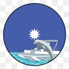 Five Ou0027clock Charlie Boat Tours Making Favorite Memories - Common Bottlenose Dolphin png
