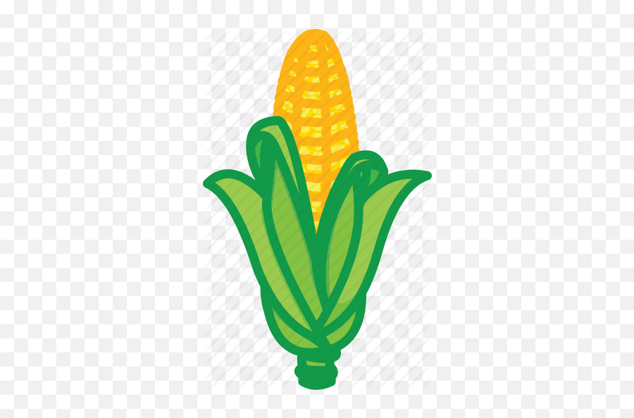 Corn Icon Png 3905 - Free Icons Library,Corn Clipart Png