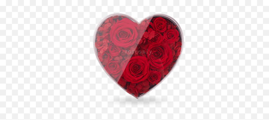 Classic Rose Heart - Heart Png,Rose Heart Png