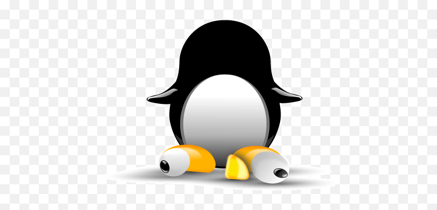 Download Hd Tux Mr Patate - Emperor Penguin Transparent Png Cartoon,Tux Png