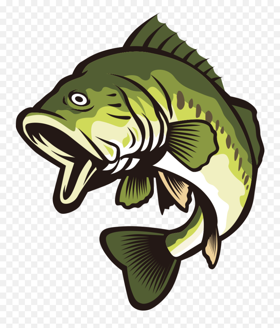 Library Of Bass Fish Png Image - Clipart Bass Fish Png,Bass Fish Png