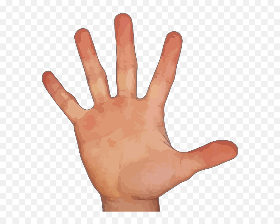 Count - Hand With Five Finger Png,Master Hand Png