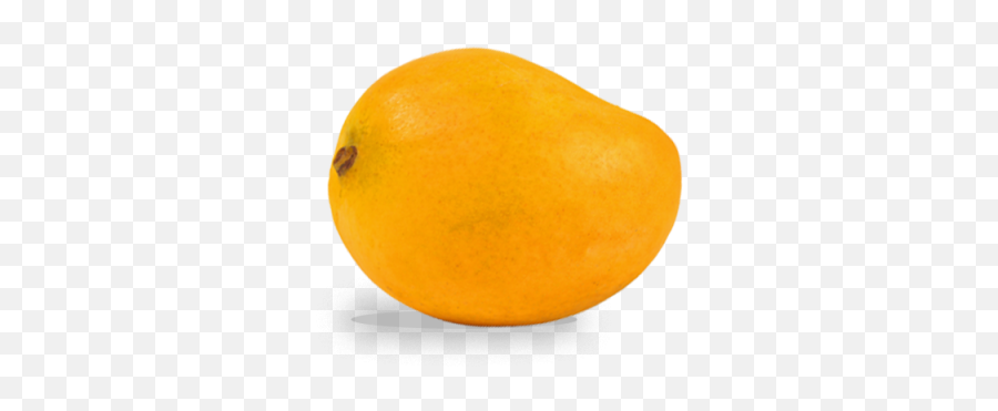 Mango Free Png Transparent Image - Orange Small,Mango Transparent Background
