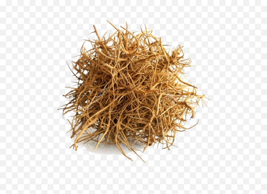 White Background Png Image - Tumbleweed With White Background,Tumbleweed Png