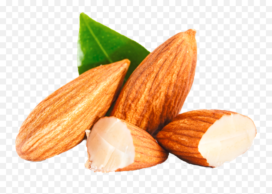 Dates Png Hd Pics - Photo 7772 Transparent Image For Free Almond Png,Dates Png