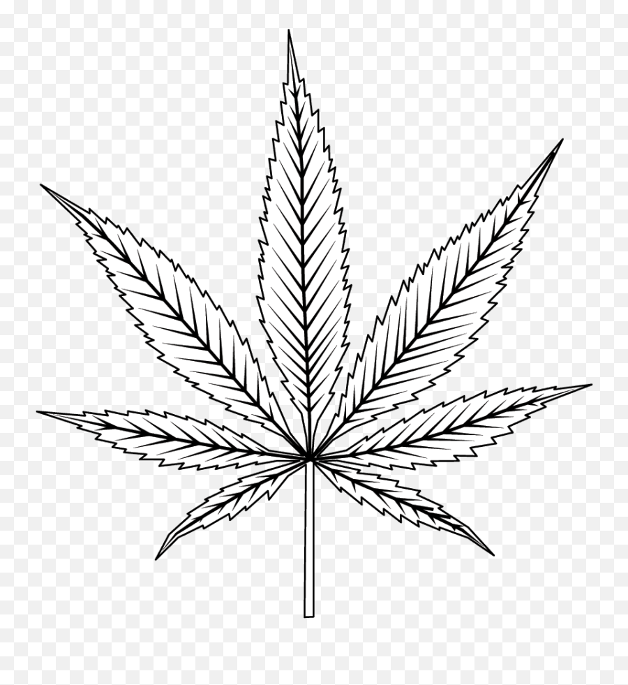 Food In Cannabis Culture - Illustration Png,Marijuana Leaf Png