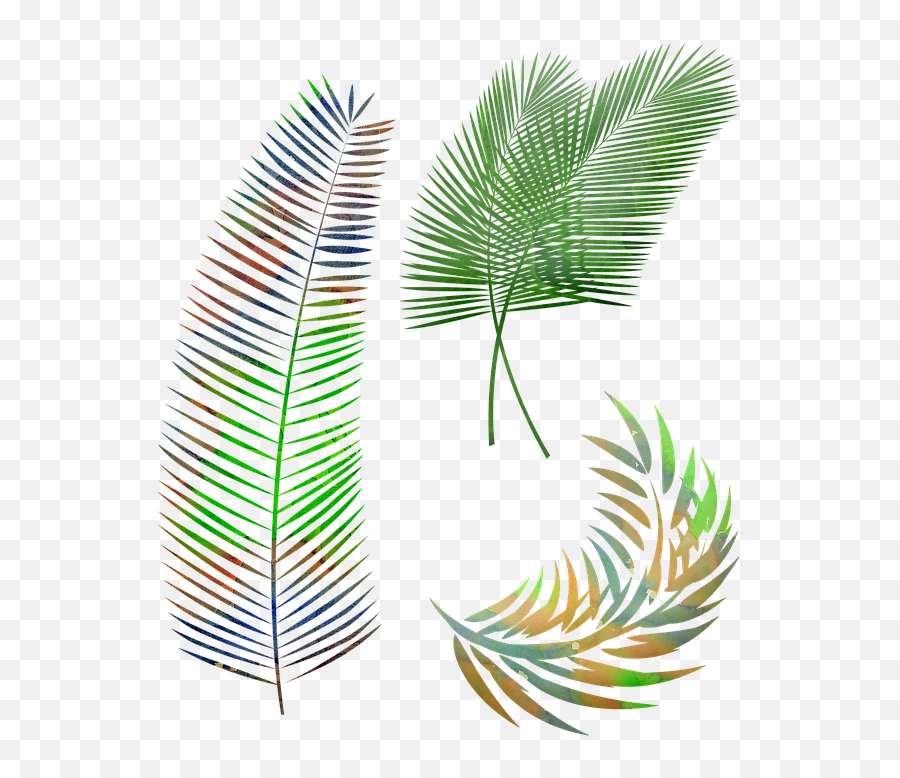Watercolor Palm Leaves Leaf - Free Image On Pixabay Roystonea Png,Palm Leaves Png