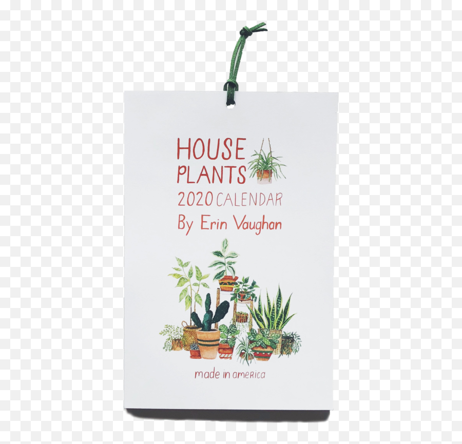 House Plants Calendar U2014 Erin Vaughan Illustration Png Hanging