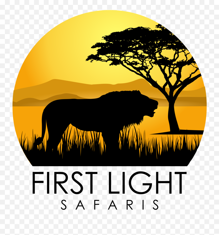 African Safaris First Light - African Safari Logo Png,African Tree Png