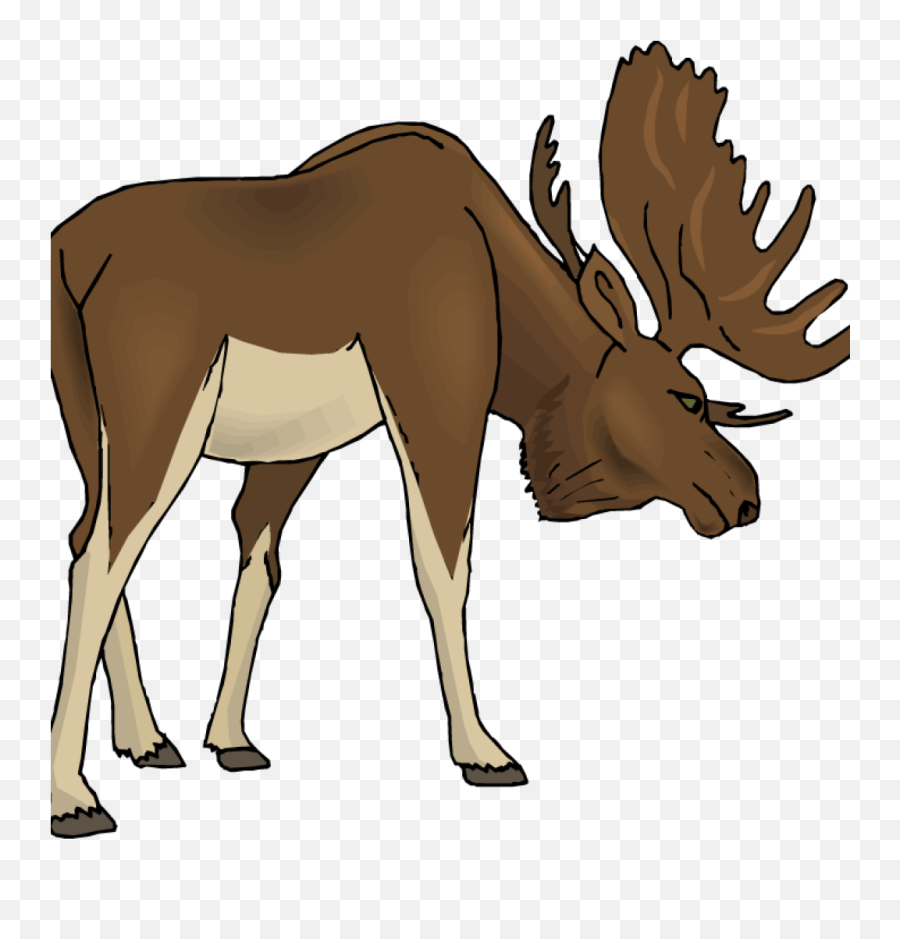 Free Moose Clipart Money Illustrations 10 - Clipart Moose Png,Moose Png