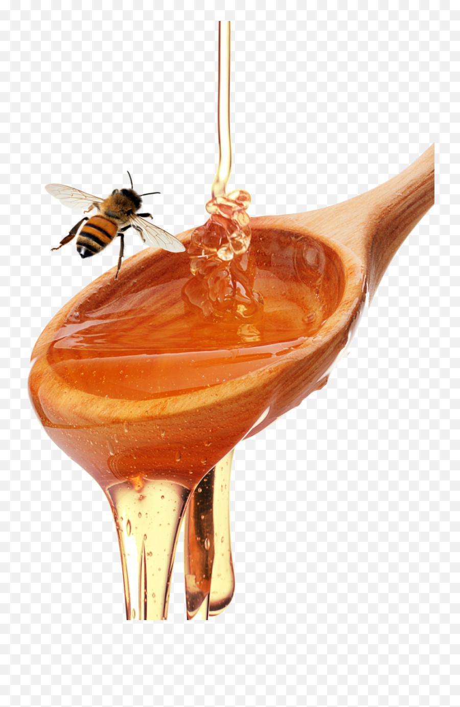 Full Size Png Image - Honey In Spoon And Bees,Honey Png