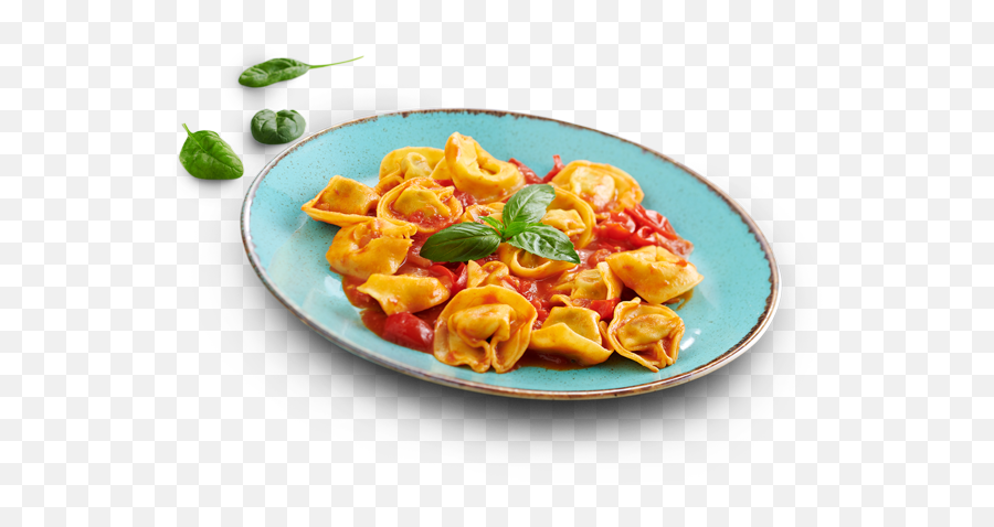 Cibo Italiano Italian Food Delivery In Dubai - Tableware Png,Italian Food Png