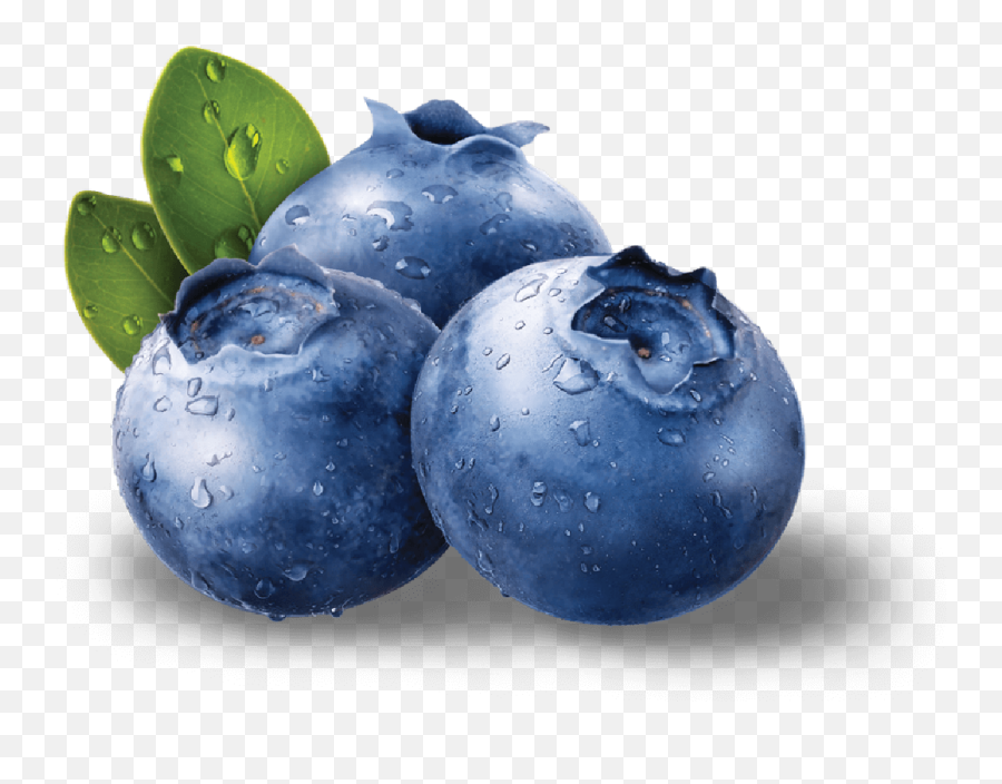 Blue Berries Png Free - Blueberries Png,Berry Png