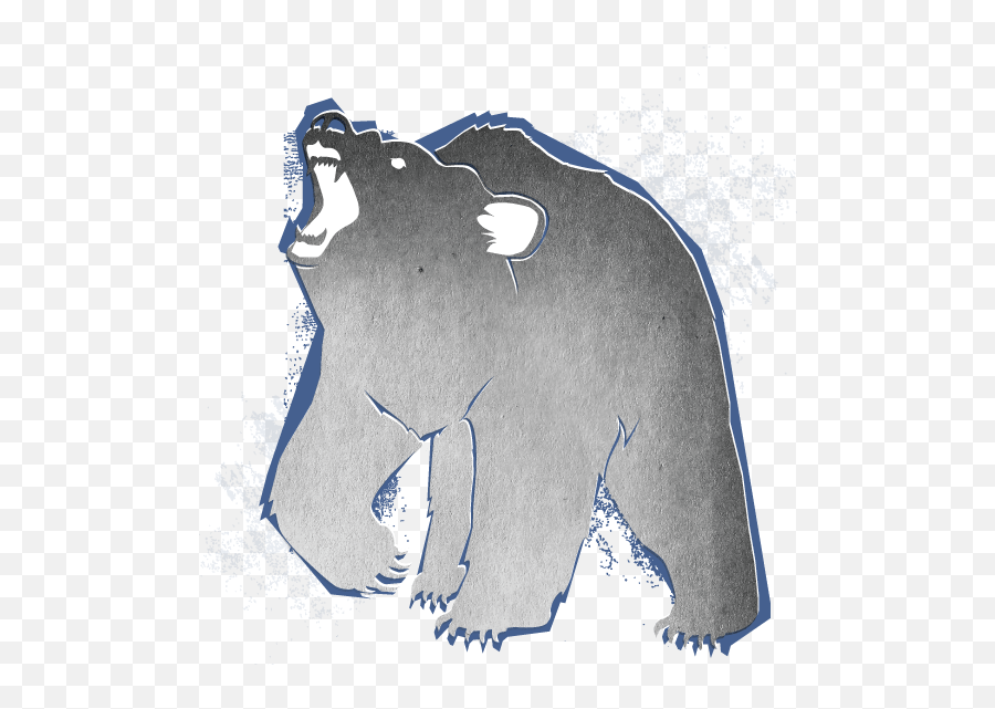 Download Spirit Bear - Grizzly Bear Png,Spirit Png