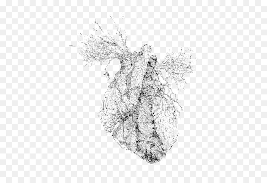 Drawing Tumblr Heart Blog - Heart Png Download 600611 Png Heart Flower Drawing,Transparent Flower Drawing Tumblr