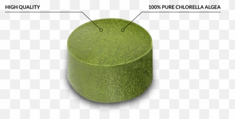 Chlorella Vulgaris 2000 Pellets - Cake Png,Algae Png