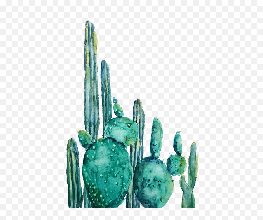 Cactus Watercolor 1 Shower Curtain For - Cactus Watercolor Painting Png,Watercolor Cactus Png