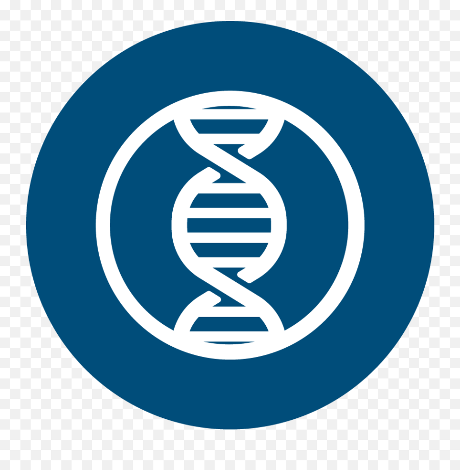 Blue Heron Biotech Llc - Gene Synthesis Custom Dna Genes Icon Png,Biotech Icon