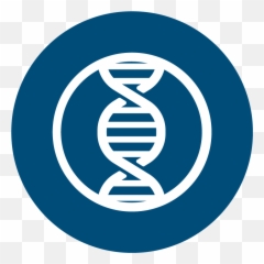 Blue Heron Biotech Llc - Gene Synthesis Custom DNA Genes Icon png