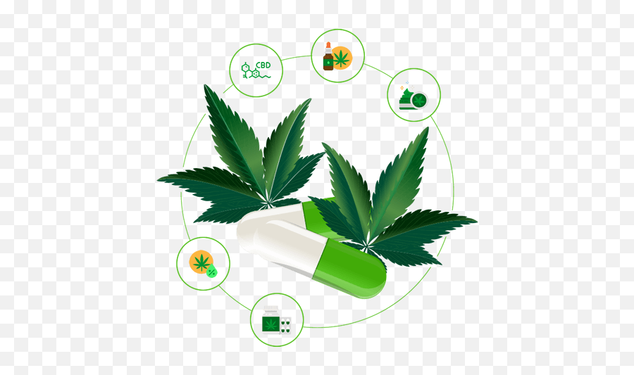 Cbd U0026 Marijuana Marketing Agency Cannabis Seo - Medicinal Cannabis Png,Pot Leaf Icon