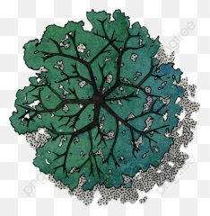 Download Free Png Green Tree Top View - Transparent Birds Eye