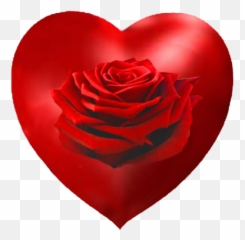 Valentines Day Hearts Graphics - Garden Roses png