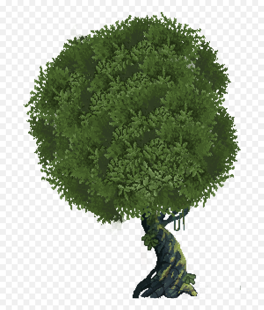 Whole - Tree1 Tree Bushes Png Full Size Png Download Seekpng Transparent Bush Png,Bushes Png