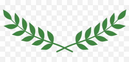 Coroa De Folhas Png Transparent Images Clipart Vectors - Folhas De Oliveira Png,Articuno Png