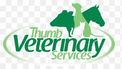 Thumb Veterinary Services - Large Animal Veterinarian Png