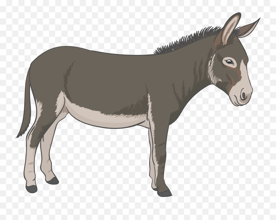 Donkey - Donkey Png,Donkey Png