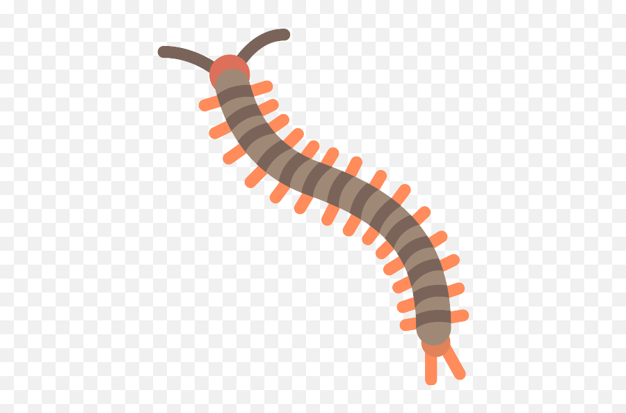Centipede Insect Png Icon - Vector Centipede Icon,Centipede Png