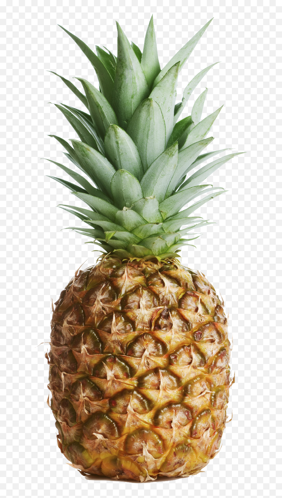 Png Pineapple No Background - Pineapple With No Background,Pineapples Png