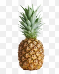 Png Pineapple No Background - Pineapple With No Background,Pineapples Png