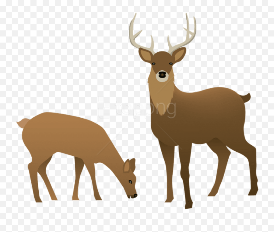 Png Stag And Doe Images Transparent - Deer Clip Art Transparent,Deer Transparent Background