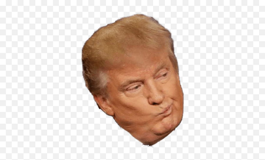 Trump Head Picture Free Stock Png Files - Head Donald Trump Face Png,Trump Head Transparent Background